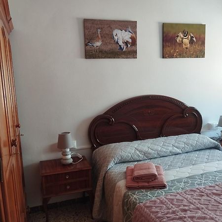 Apartamento Las Fuentes Sierra de Fuentes Buitenkant foto
